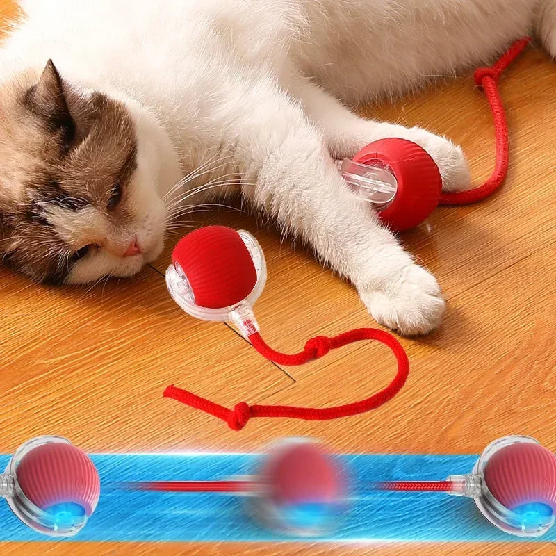 TurboCat Play Rolling Fun Ball